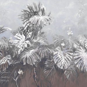 Амазония 0019-S2