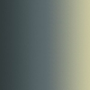 Обои Loymina Equilibre BR3021