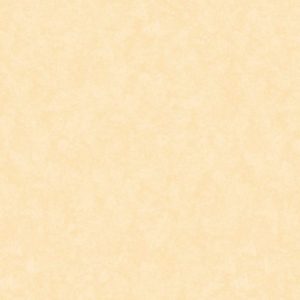 Обои Loymina Shade SD3102/1