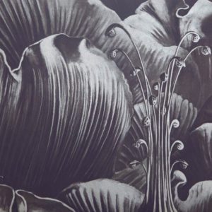 Воздушное настроение 0007-S1