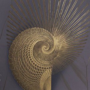 Голдшелл 0011-G1