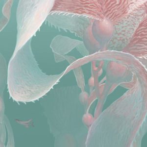 Морская 0012-A