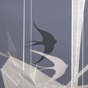 Геометрия полета 0014-S1