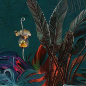 Амазония 0019-A