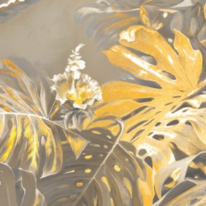 Амазония 0019-G1