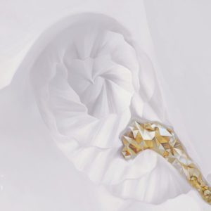 Золотая жила 0020-Br1