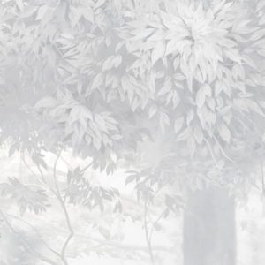 Утренний лес 0024-S3