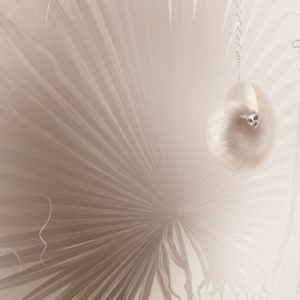 Лемурия 0029-A