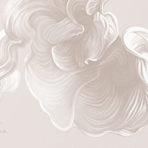 Ванильные небеса VR.0016-A