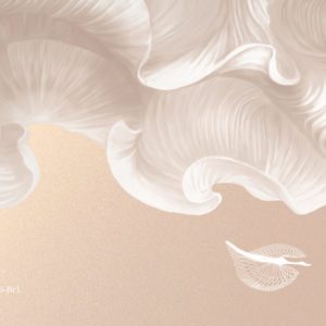 Ванильные небеса VR.0016-Br1