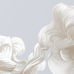 Ванильные небеса VR.0016-S1