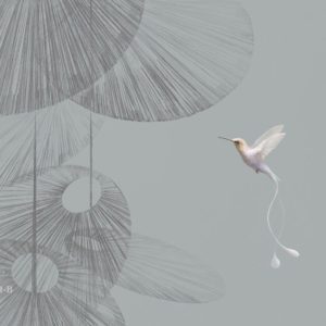 Каури VR.0021-B