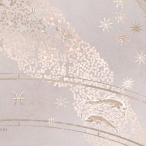 Млечный путь VR.0028-S1