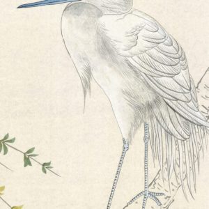 Американские обои Paul Montgomery Studio, коллекция Murals For Unique Walls, артикул Cactus Garden/Berry