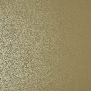 Английские обои 1838 Wallcoverings, коллекция Elodie, артикул 1907-141-07