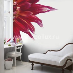 Панно Mr Perswall, коллекция Photo art, артикул P021401-6