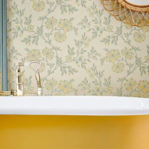 Английские обои Little Greene, коллекция Archive Trails, артикул 0247STHIGHL