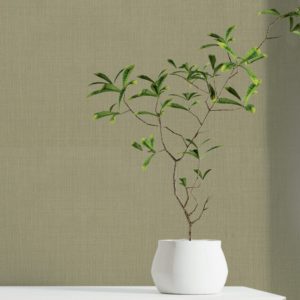 Итальянские обои Sirpi, коллекция AltaGamma Living, артикул 25305