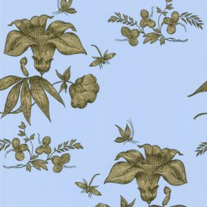 Английские обои Cole & Son, коллекция Fornasetti, артикул 77/8029