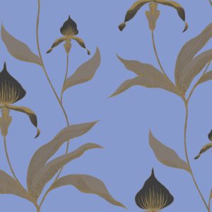 Английские обои Cole & Son, коллекция New Contemporary, артикул 66/4030