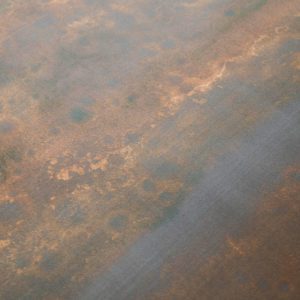 Английские обои Fromental, коллекция Roomskins, артикул Saltwood/Braskish