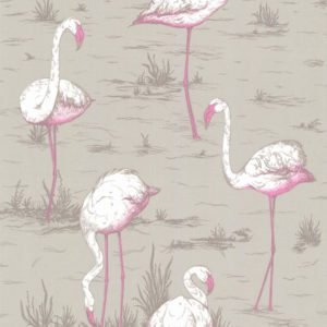 Английские обои Cole & Son, коллекция The Contemporary Collection, артикул 66-6042