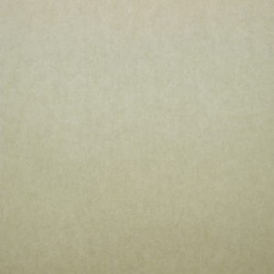 Бельгийские обои Omexco, коллекция On the Rocks, артикул RCA7509