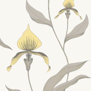 Английские обои Cole & Son, коллекция The Contemporary Collection, артикул 95-10057