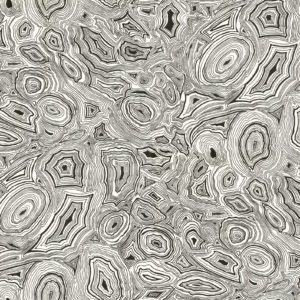 Английские обои Cole & Son, коллекция Fornasetti, артикул 77/7023