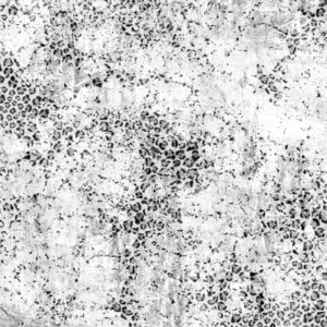 Панно Wall & Deco, коллекция 2014, артикул WDCH1402-A