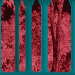 Итальянские обои Wall & Deco, коллекция Contemporary Wallpaper Collection, артикул WDMO2102