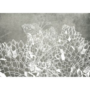 Итальянские обои Wall & Deco, коллекция 2012, артикул WDDR1201