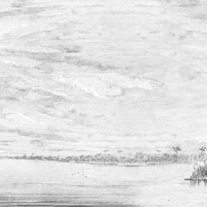 Панно Inkiostro Bianco, коллекция Story 2013/2019 Collections, артикул INKDPGD1601