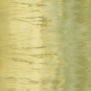 Английские обои Carl Robinson, коллекция Edition 2, артикул CB24404