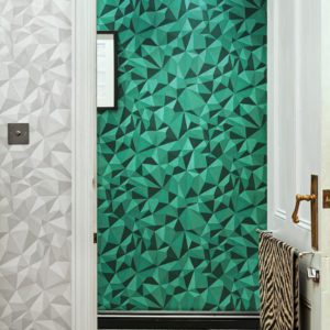 Английские обои Cole & Son, коллекция Curio, артикул 107/8039