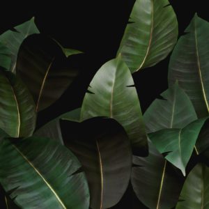 Итальянские обои Wall & Deco, коллекция Contemporary Wallpaper Collection, артикул WDZA2102