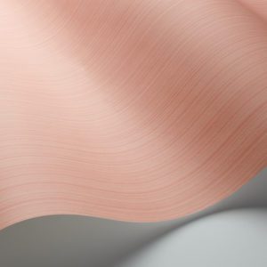 Английские обои Cole & Son, коллекция Landscape Plains, артикул 106/3050