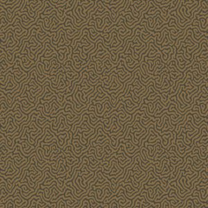 Английские обои Cole & Son, коллекция Curio, артикул 107/4020