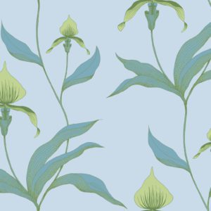 Английские обои Cole & Son, коллекция New Contemporary, артикул 66/4029