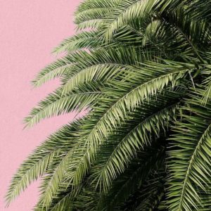 Панно Hygge Wall, коллекция Collection 3, артикул H11002