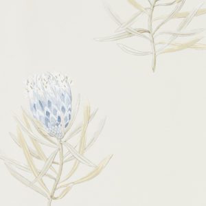 Английские обои Sanderson, коллекция Art of the Garden, артикул 216327