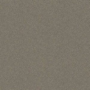 Английские обои Cole & Son, коллекция Curio, артикул 107/9043