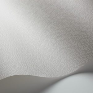 Английские обои Cole & Son, коллекция Landscape Plains, артикул 106/5073