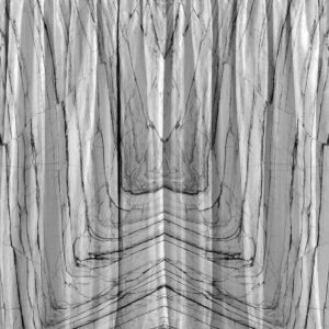 Панно Inkiostro Bianco, коллекция Story 2013/2019 Collections, артикул INKBFRU1801