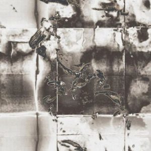 Итальянские обои Wall & Deco, коллекция Wet System 2020, артикул WETLA2002