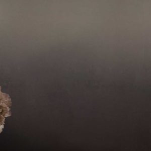 Панно Inkiostro Bianco, коллекция Story 2013/2019 Collections, артикул INKDETE1602A