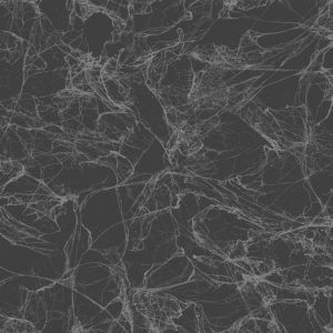 Американские обои Collins & Company, коллекция Casa Blanca 2, артикул AW71420