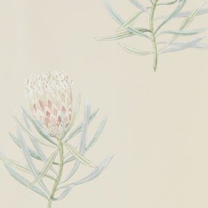 Английские обои Sanderson, коллекция Art of the Garden, артикул 216329