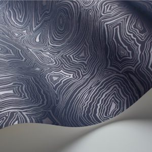 Английские обои Cole & Son, коллекция Fornasetti Senza Tempo, артикул 114/17034