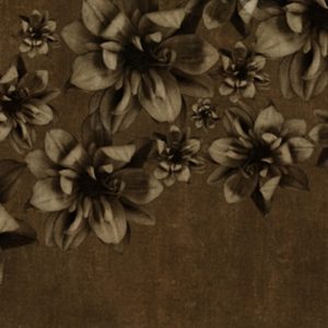 Панно Wall & Deco, коллекция 2011, артикул WDFP1102